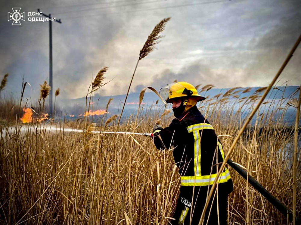 3659 image for slide