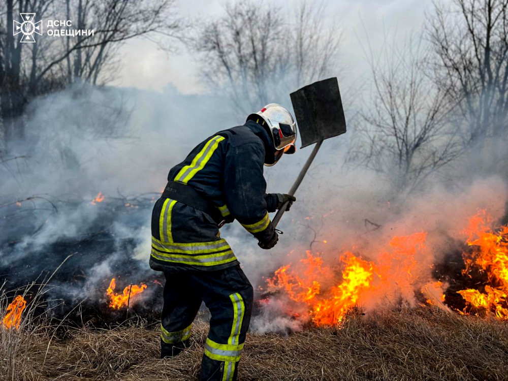 3660 image for slide