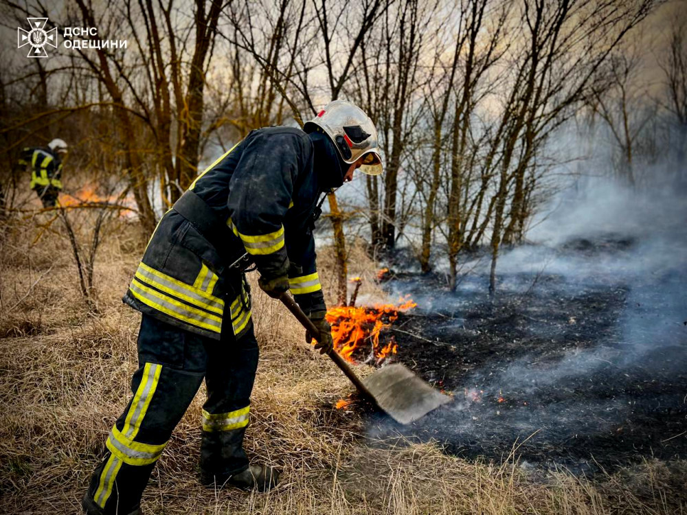 3661 image for slide