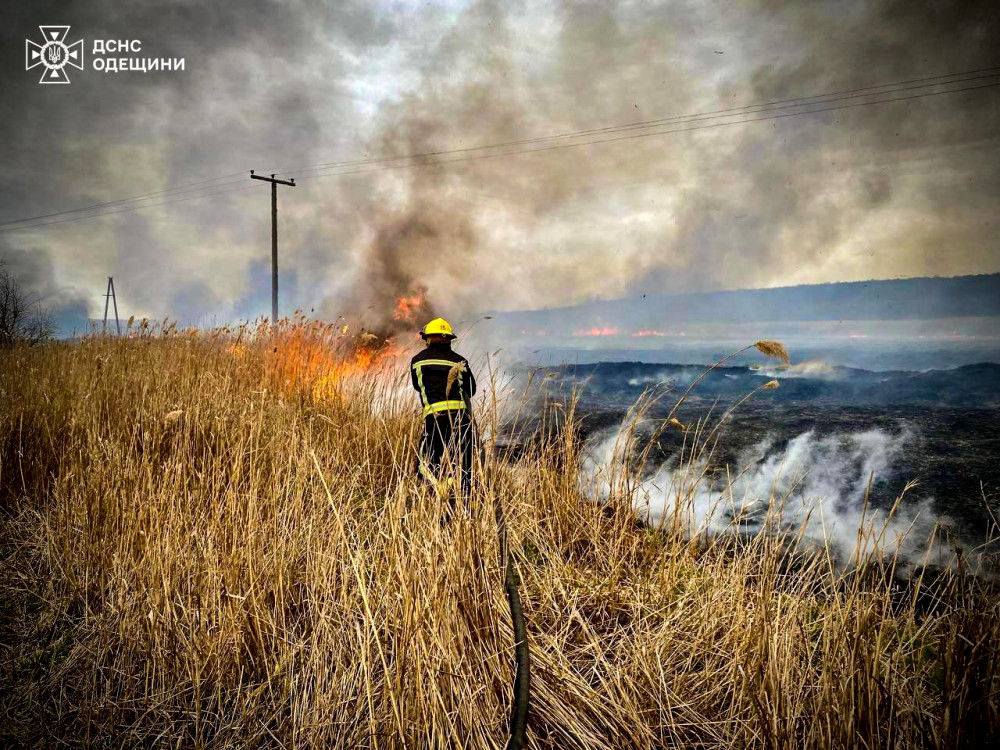 3662 image for slide