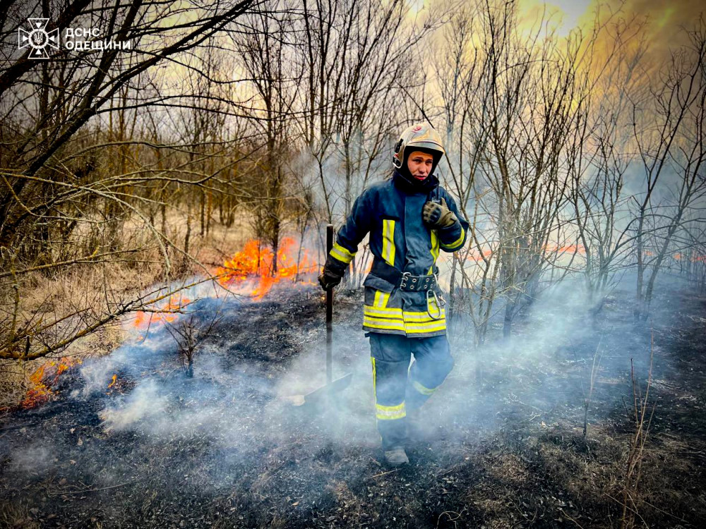 3663 image for slide