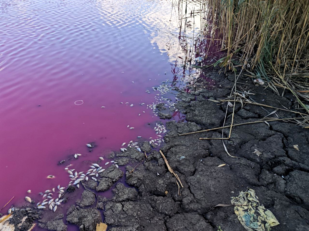 8576 image for slide