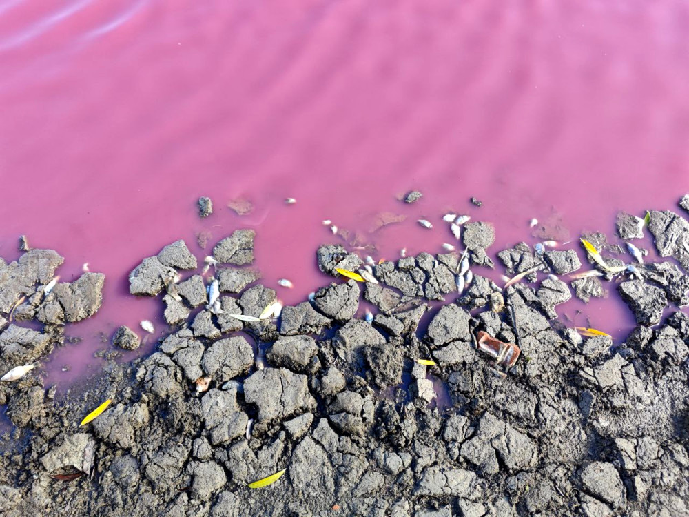 8577 image for slide