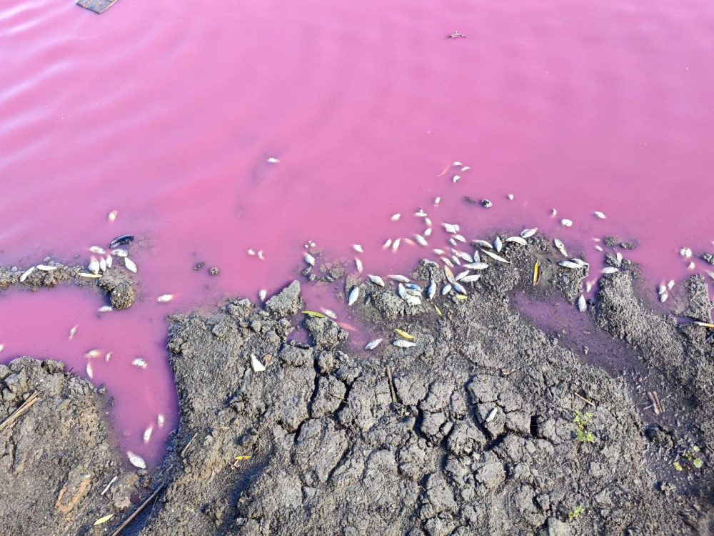 8578 image for slide