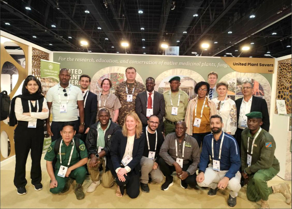 8633 image for slide