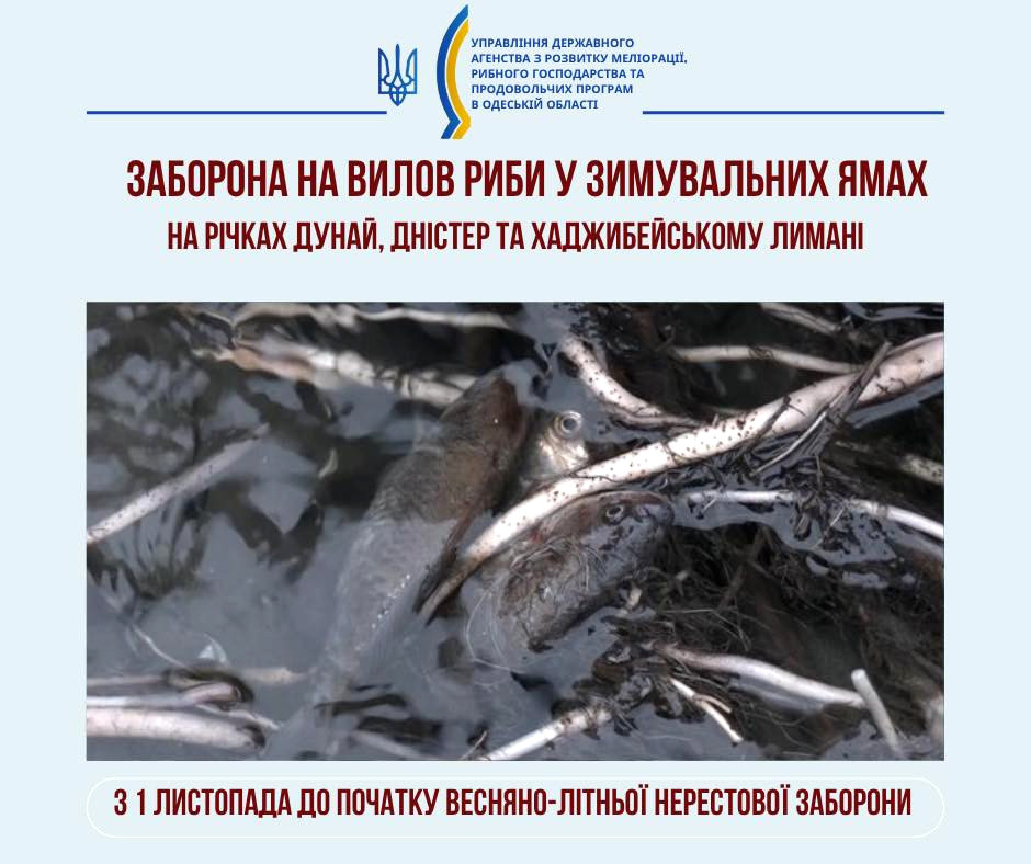 8904 image for slide