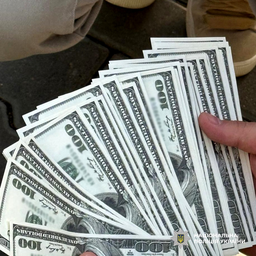 9019 image for slide