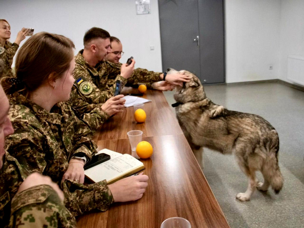 9166 image for slide