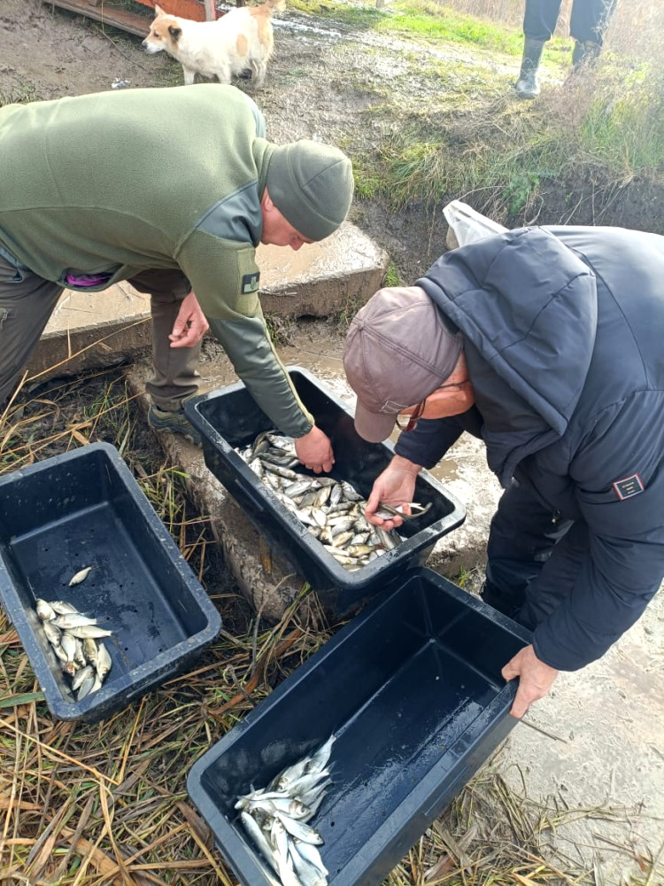 9184 image for slide