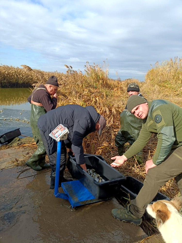 9185 image for slide