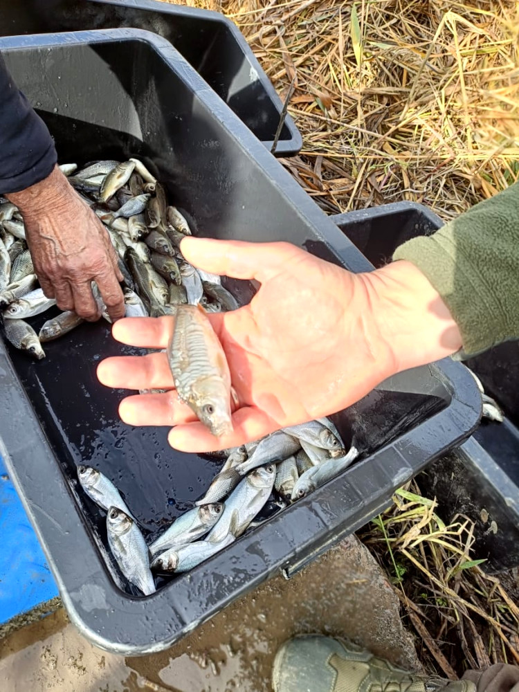 9186 image for slide