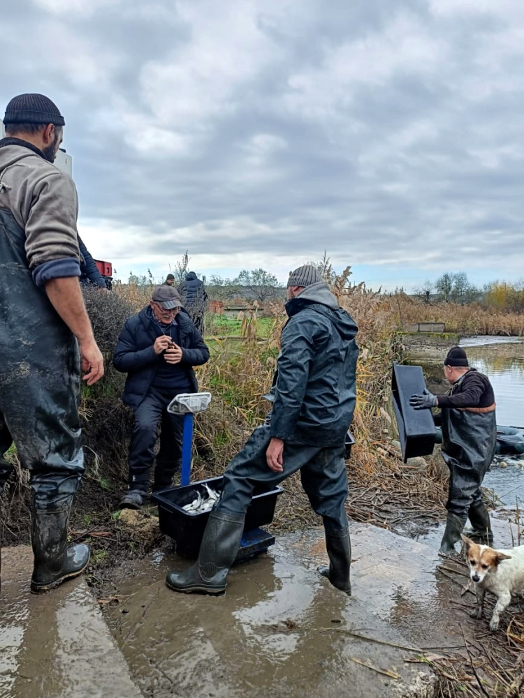 9187 image for slide