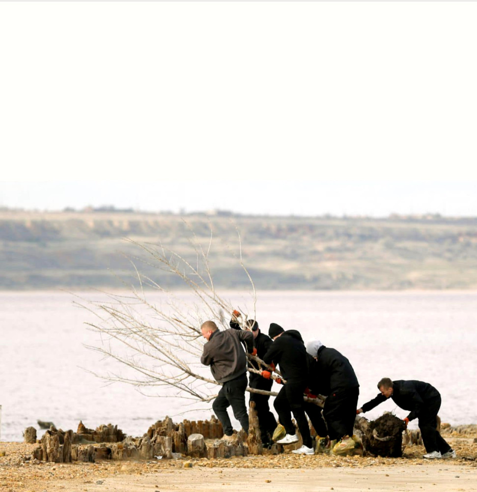 9298 image for slide