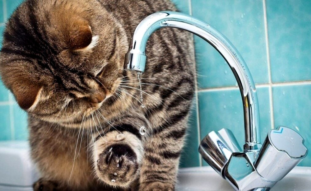 9306 image for slide