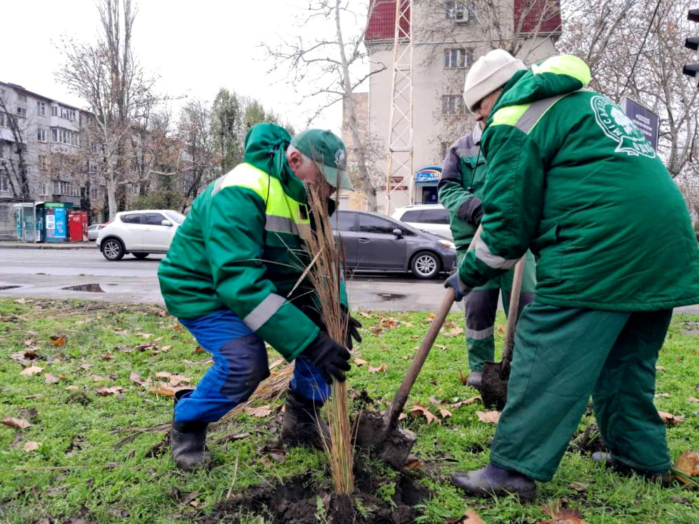 9311 image for slide