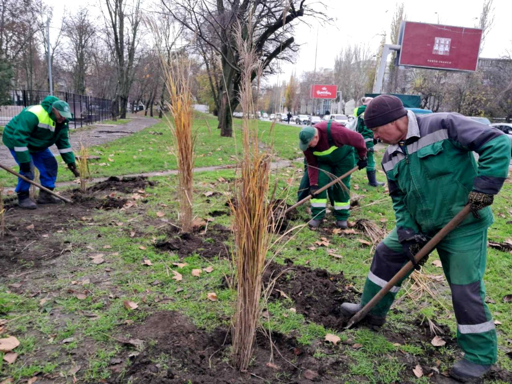 9313 image for slide