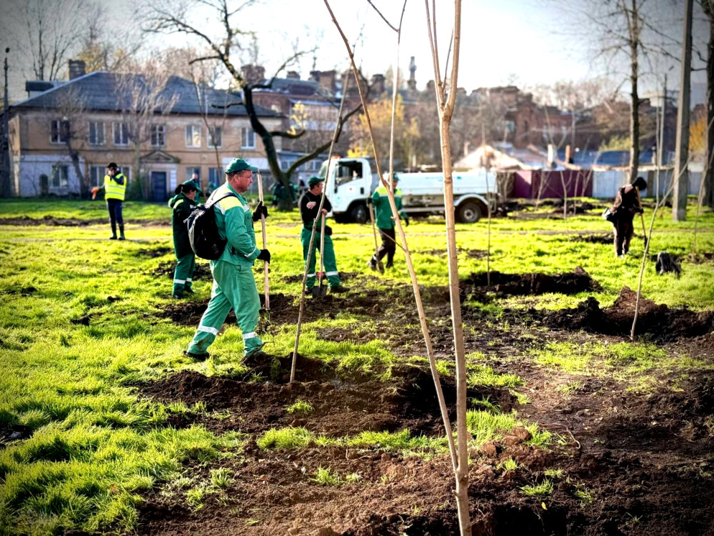 9377 image for slide