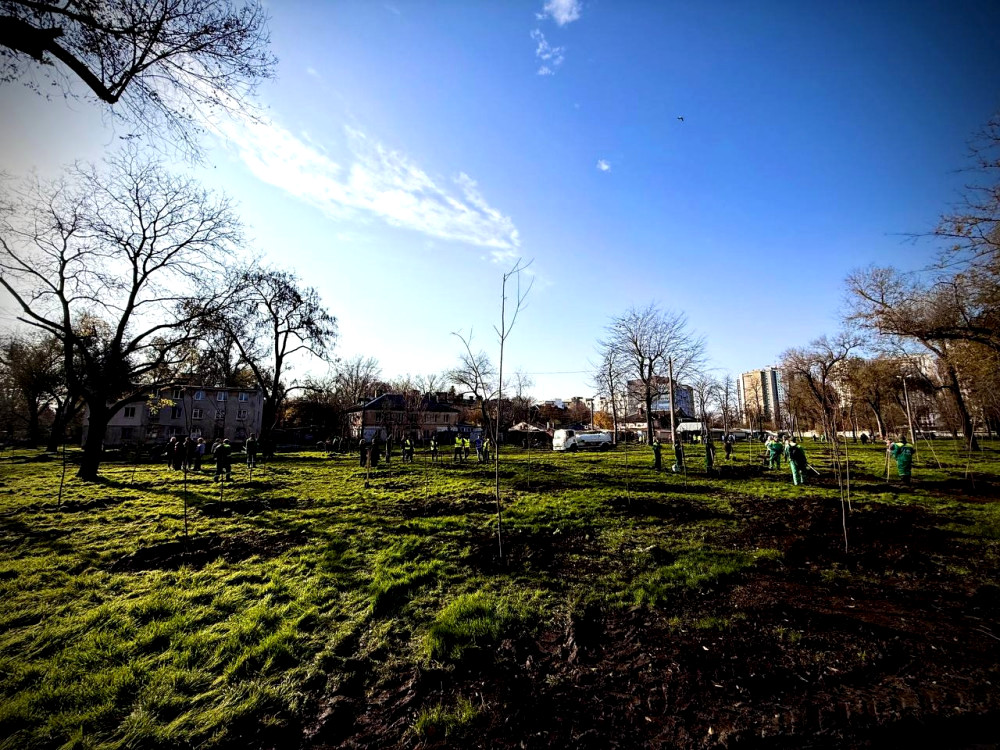 9379 image for slide