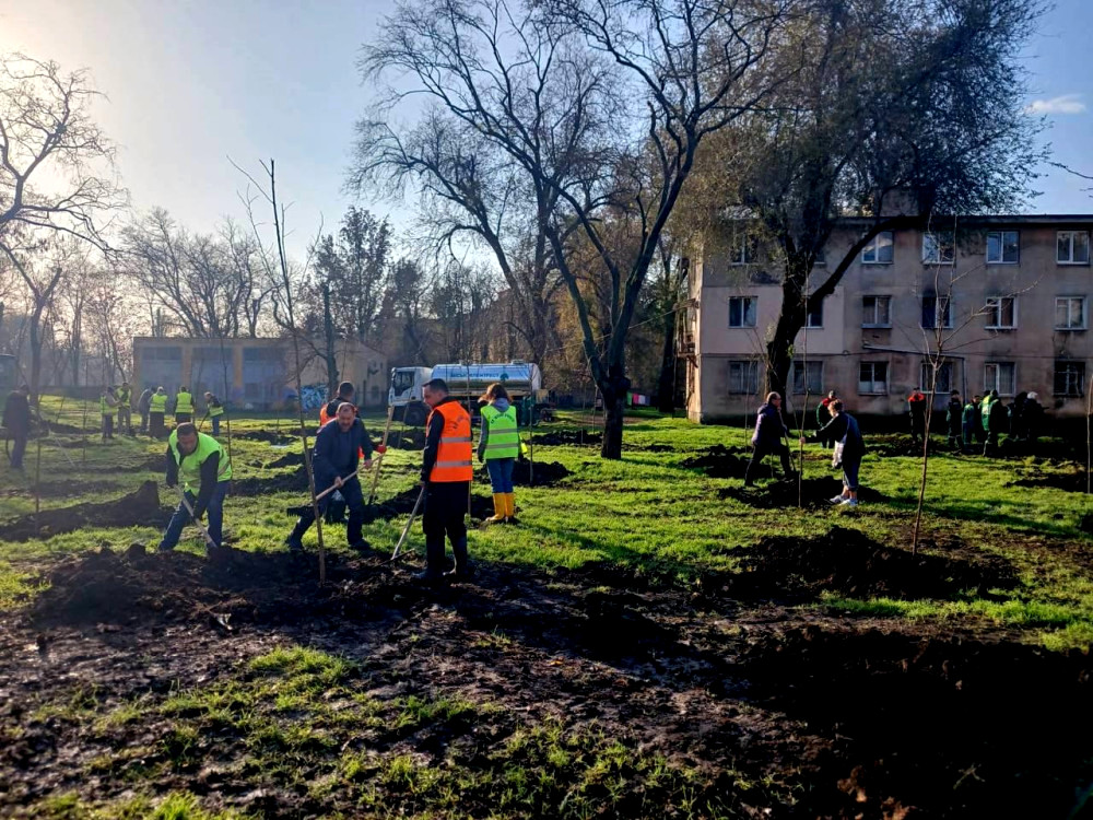 9380 image for slide