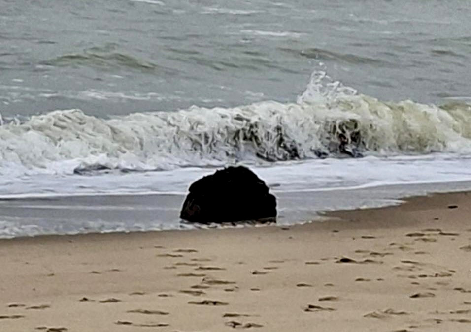 9514 image for slide