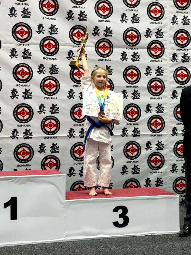 9633 image for slide