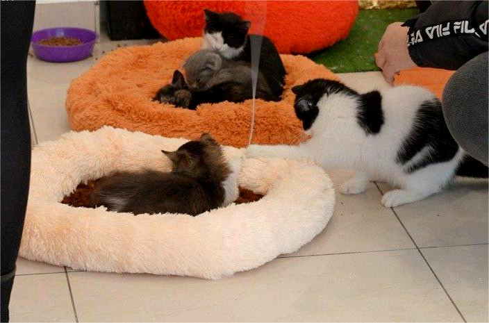 9688 image for slide