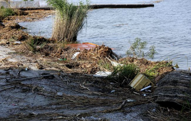 9694 image for slide