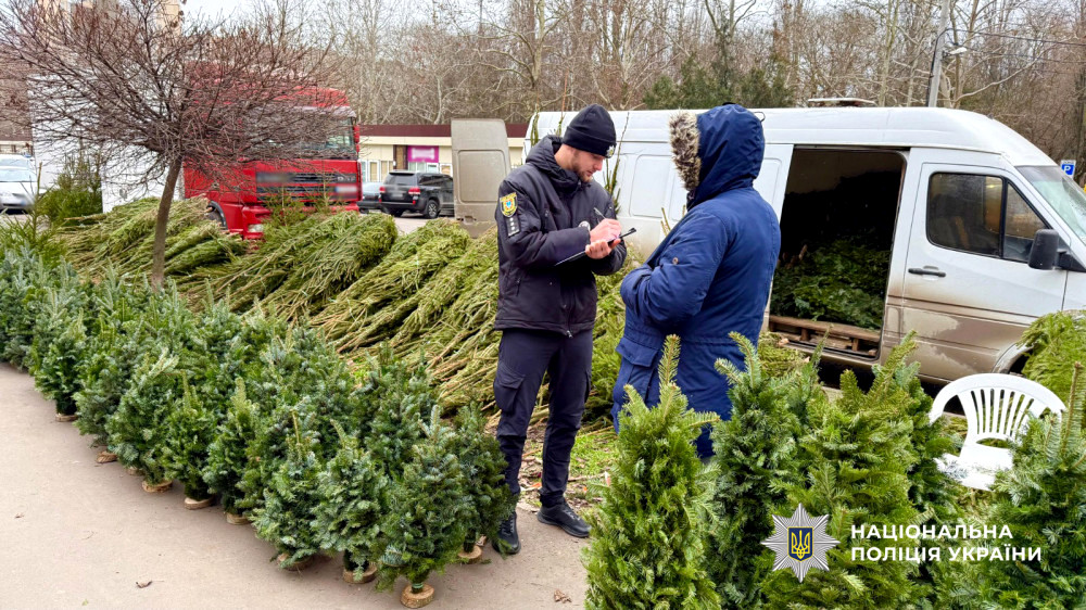 9701 image for slide