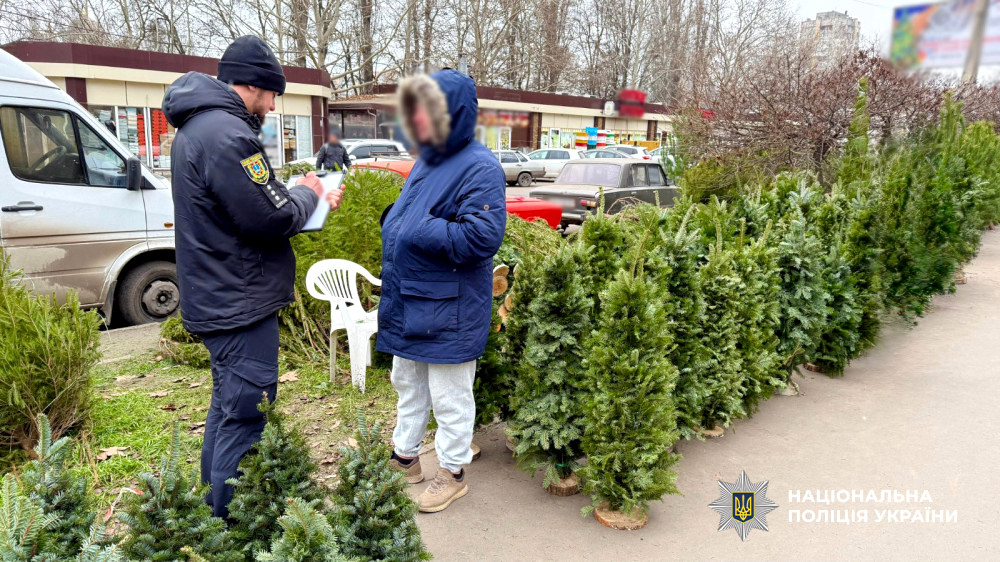 9703 image for slide