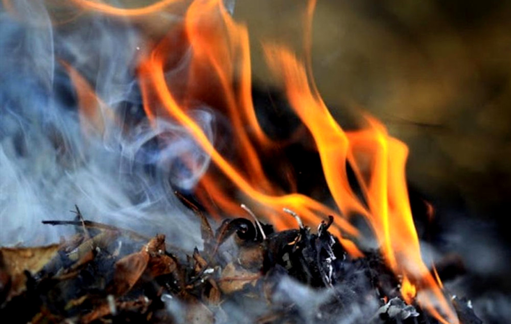 9735 image for slide