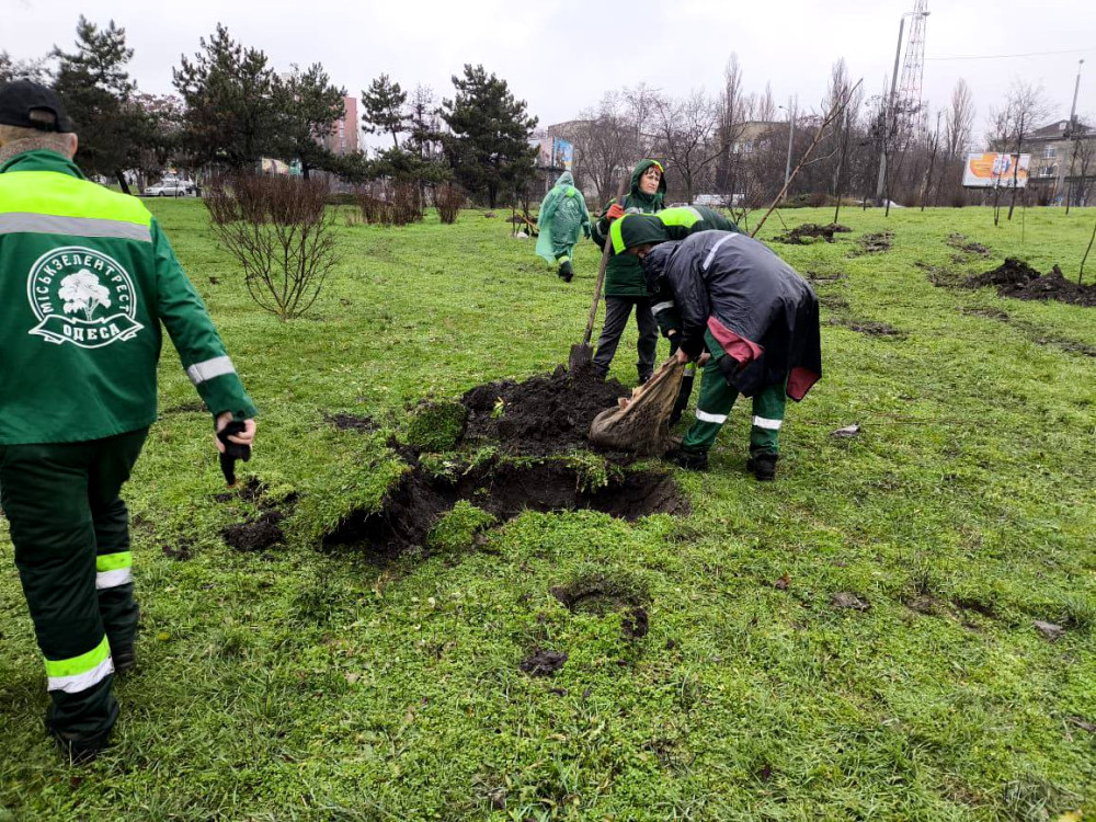 9784 image for slide