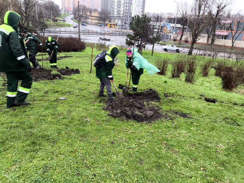 9785 image for slide