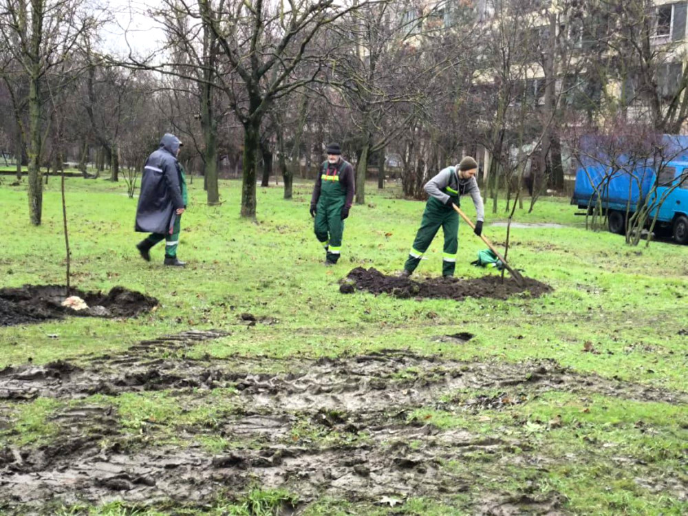 9786 image for slide